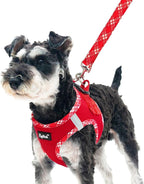 PUPTECK Dog Harness and Leash Set for Small Medium Dogs No Pull Step-in Soft Mesh Puppy Cat Vest Harnesses Reflective at Night, Red, XS