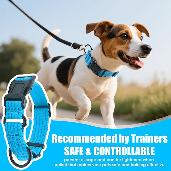 Martingale Collar for Dogs, Reflective Heavy Duty with Quick Release Nylon Buckle, No Pull Training Choker for Walking, Training, Sky Blue, L