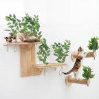 Novabright 3 Pcs Cat Wall Shelves Set, Double-Layer Platform Cat Wall Furniture & 2 Wood Scratching Steps, Wall-Mounted Space-Saving Climbing System for Indoor Kitty, Easy Install