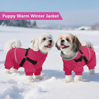 BRKURLEG Dog Winter Coat with Harness Built in, Winter Dog Jacket for Small and Medium Dogs, Small Dogs Snowsuit Reflective Windproof Cold Weather Coat, Puppy Warm 100% Polyester Coats, Hot Pink, M