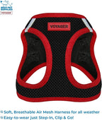Voyager Step-in Air All Weather Mesh Harness and Reflective Dog 5 ft Leash Combo with Neoprene Handle, for Small, Medium and Large Breed Puppies by Best Pet Supplies - Red Trim, M (Pack of 2)