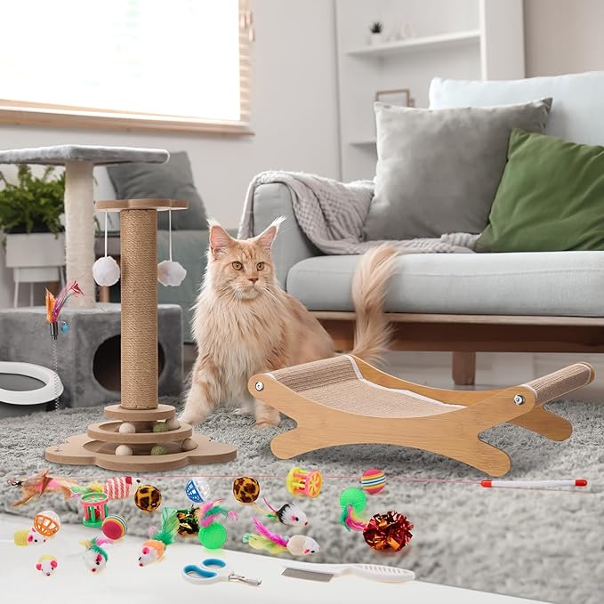 25 Pcs Kitten Starter Kit for Indoor Cats Include Cat Scratching Post, Sisal Scratcher Bed, Brushes, Nail Clipper, Balls for Indoor Kittens Supplies Accessories Welcome Gift