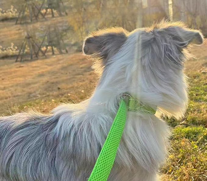 Reflective Slip Dog Collar, Loop Dog Collar for 20-38 lbs Dogs, Nylon Collars with Soft Padded for Dogs Training (Green 5/8" W x 15.5" L)