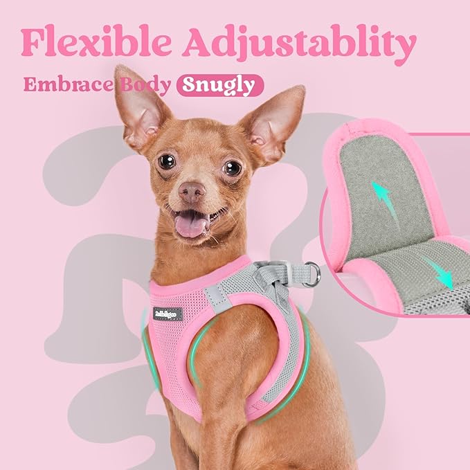 rabbitgoo Small Dog Harness, Step-in Soft Mesh Puppy Vest with Safety Buckle, Breathable Reflective Pet Harness for Small Sized Dogs, Pink & Gray S