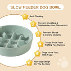 Ceramic 0.9 Cup Raised Slow Feeder Dog Bowl Set, Elevated 6.1inch Slow Dish and 6.1inch Water Bowl with Wooden Stand for Small Dogs (2 x Light Green+ Stand)