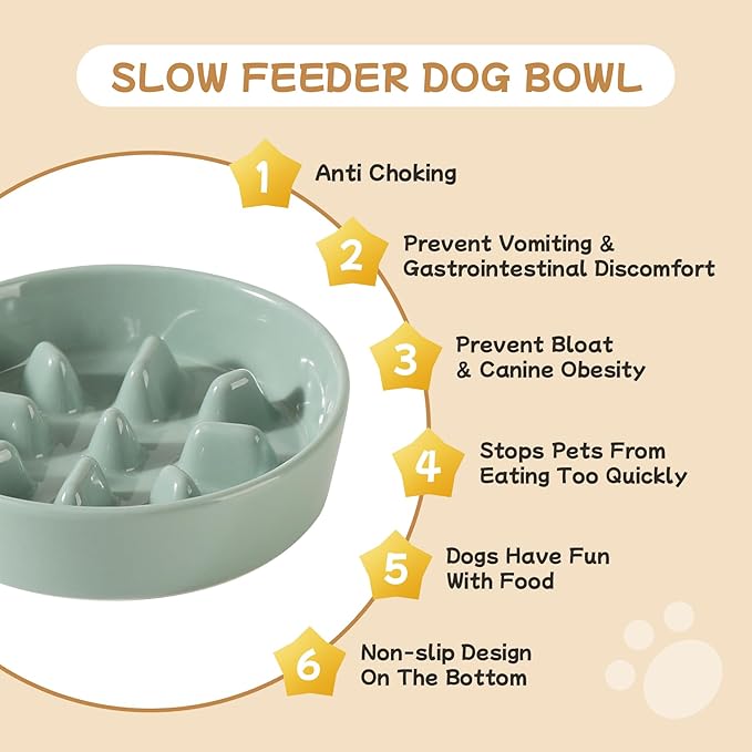 Ceramic 0.9 Cup Raised Slow Feeder Dog Bowl Set, Elevated 6.1inch Slow Dish and 6.1inch Water Bowl with Wooden Stand for Small Dogs (2 x Light Green+ Stand)