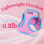 rabbitgoo Dog Harness Small Sized and Leash Set, Step-in Breathable Pet Harness, Soft Walking Reflective Puppy Vest for Small Dogs, Pink & Light Blue, L