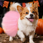 2 Pcs Dog Tutu Dress with Pearl Crown for Small Medium Pet Cat Dog Halloween Costume Dress for Ballet Birthday Party Wedding Photo Prop