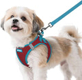 rabbitgoo Dog Harness Small Sized and Leash Set, Step-in Breathable Pet Harness, Soft Walking Reflective Puppy Vest for Small Dogs, Red & Teal, S