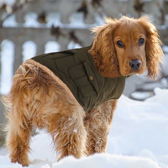 Queenmore Warm Dog Coat, Cold Weather Puffer Dog Jacket with Ultra Thick Plush Lining, Storage Pockets (Green, Small)