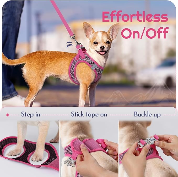 Eagloo Small Dog Harness and Leash Set, Step in Puppy Vest with Breathable Soft Mesh, Walking Reflective Pet Harness for Medium Small Dogs, Rose Red, L