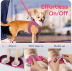 Eagloo Small Dog Harness and Leash Set, Step in Puppy Vest with Breathable Soft Mesh, Walking Reflective Pet Harness for Small Dogs, Rose Red, S