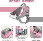 AUROTH Dog Harness and Leash Set, Soft Padded Service Dog Vest with 5.25FT Dog Leash, No Choke, Easy On Pet Vest, Adjustable Reflective No Pull Pet Vest Medium Sized Dog, Easy Walking and Training