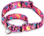 Serijoars Adjustable Martingale Dog Collar Heavy Duty Nylon Dog Collar for Medium Large Dogs Walking Training Boy and Girl Dogs (NO17, M)