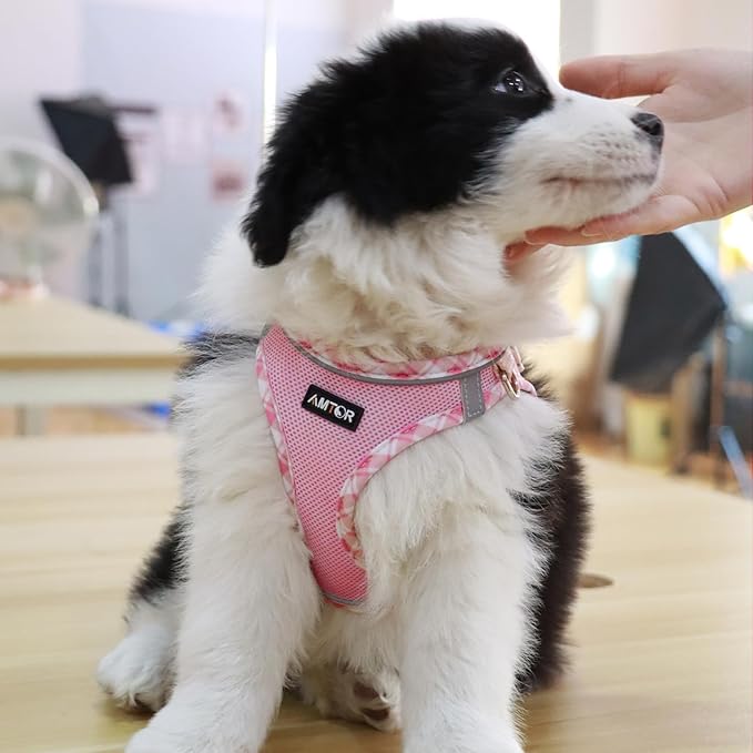 AMTOR Small Dog Harness with Leash Set, No Escape Easy Walk Puppy Harnesses for Training Walking, Step-in Reflective Soft Dogs Vest for XS S Medium Extra-Small Large Sized Dog(M Size,Pink/White)