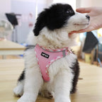 AMTOR Small Dog Harness with Leash Set, No Escape Easy Walk Puppy Harnesses for Training Walking, Step-in Reflective Soft Dogs Vest for XS S Medium Extra-Small Large Sized Dog(XL Size,Pink/White)