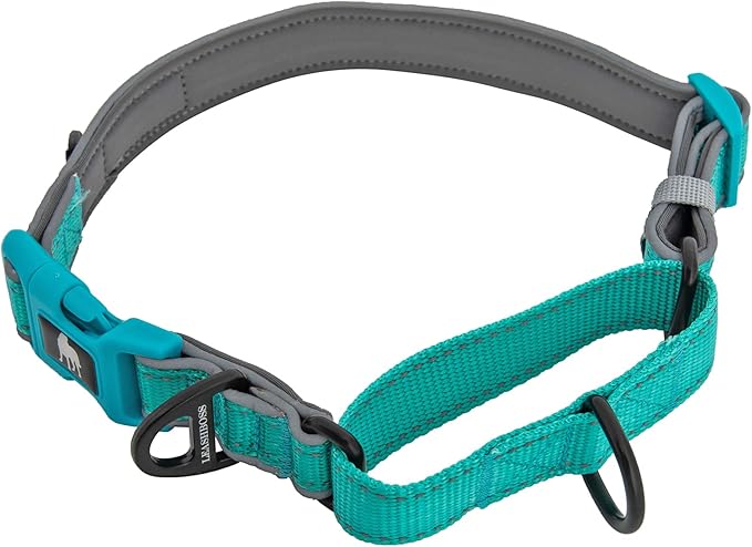 Leash Boss Martingale Collar for Dogs | Reflective Nylon Dog Collar for Large Dogs, Medium and Small Dogs | No Pull Pet Training Collar | Quick Release Buckle, Adjustable Pet Collar