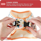 Downtown Pet Supply Step-in Dog Harness – No Pull, Adjustable Padded Mesh with Reflective Trim, Secure Buckle Strap – Comfortable & Breathable Small Dog Harness, XX-Small, Floral