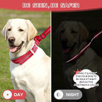 Adjustable No Pull Dog Collar - Heavy Duty Martingale Slip Collar with Reflective Widened Nylon & Metal Buckle for Training Walking Hunting (Small/Medium/Large Dogs),Red,L