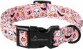 ARING PET Halloween Dog Collars, Cute Pink Pumpkin Ghost Bat Spider Skull Pet Collar with Quick Release Buckle for Small Medium Large Girl Boy Dogs-M