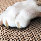 Cat Scratching Board Premium Scratch Textures Cardboard Anti-Scratch Stress Relieve Indeformable Fish Self-Adhesive Cat Scratching Board 28×15×2.5 cm