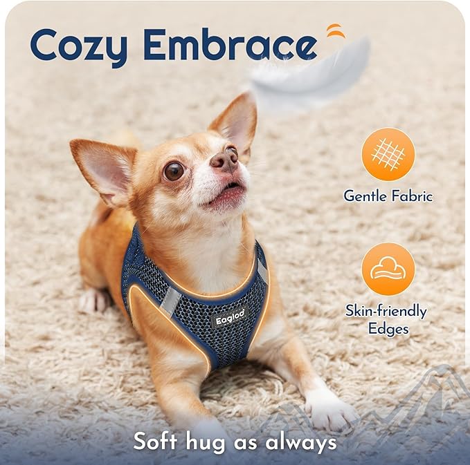 Eagloo Small Dog Harness and Leash Set, Step in Puppy Vest with Breathable Soft Mesh, Walking Reflective Pet Harness for Small Dogs, Navy Blue, XS