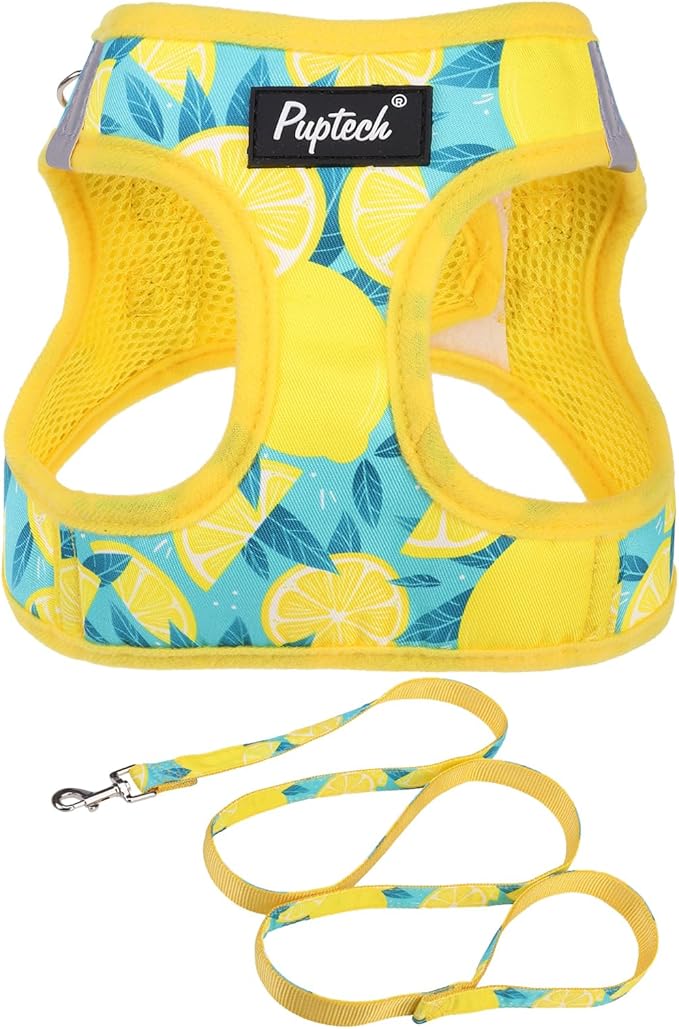 PUPTECK Dog Harness and Leash Set for Small Medium Dogs No Pull Step-in Soft Mesh Puppy Cat Vest Harnesses Reflective at Night, Yellow Lemon, M