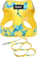 PUPTECK Dog Harness and Leash Set for Small Medium Dogs No Pull Step-in Soft Mesh Puppy Cat Vest Harnesses Reflective at Night, Yellow Lemon, S