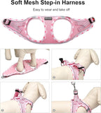 Mercano Soft Mesh Dog Harness and Leash Set, No-Chock Step-in Reflective Breathable Lightweight Easy Walk Vest Harnesses with Safety Buckle for Small Dogs, Cats (Pink, S)