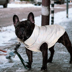 ASENKU Dog Winter Coat - Waterproof Windproof Dog Jacket, Warm Snowproof Doggie Puffer Vest for Cold Weather, Lightweight Snow Coats for Small Medium Large Dogs (Silver, 2XL)
