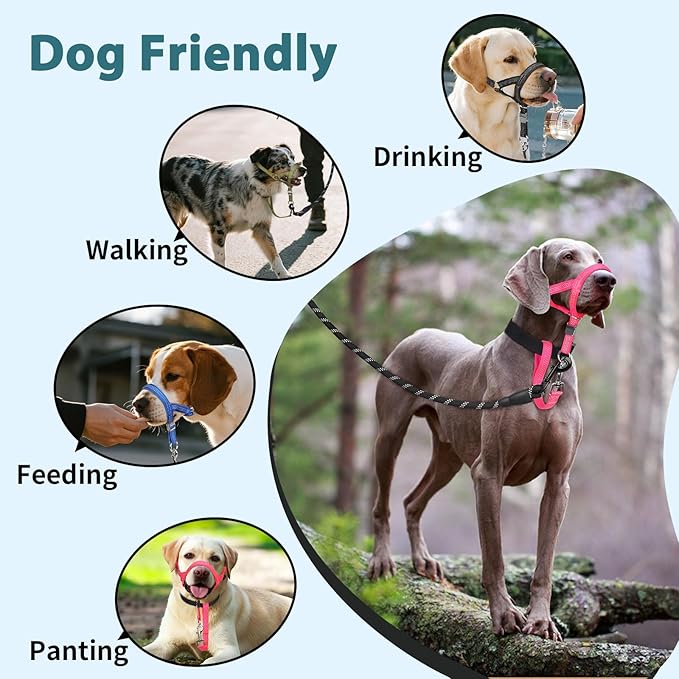 BARKLESS Sturdy No Pull Head Collar for Medium Large Dogs, Gentle Reflective Head Halter with Safety Link, Adjustable Nylon Dog Training Muzzle Leash for Walking Control (Black, XXL)