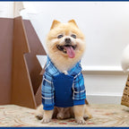 Plaid Dog Hoodie Pet Clothes Sweaters with Hat