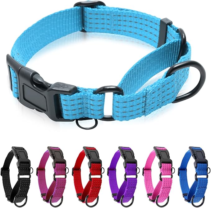 Martingale Collar for Dogs, Reflective Heavy Duty with Quick Release Nylon Buckle, No Pull Training Choker for Walking, Training, Sky Blue, L