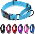 Martingale Collar for Dogs, Reflective Heavy Duty with Quick Release Nylon Buckle, No Pull Training Choker for Walking, Training, Sky Blue,M