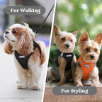 rabbitgoo Small Dog Harness, Step-in Soft Mesh Puppy Vest with Safety Buckle, Breathable Reflective Pet Harness for Extra Small Dogs, Black XXXS