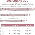COOYOO Dog Collar,3 Piece Set Tactical Dog Collars, Adjustable Military Training Nylon Dog Collar with Control Handle and Heavy Metal Buckle for Medium and Large Dogs