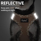 PUPTECK Dog Harness and Leash Set for Small Medium Dogs No Pull Step-in Soft Mesh Puppy Cat Vest Harnesses Reflective at Night, Beige XS