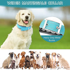 Adjustable No Pull Dog Collar - Heavy Duty Martingale Slip Collar with Reflective Widened Nylon & Metal Buckle for Training Walking Hunting (Small/Medium/Large Dogs),Blue,L