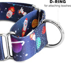 Downtown Pet Supply - Martingale Collar for Dogs - Dog Training Collar - Big, Wide & Thick Dog Collar - Escape-Proof, Weatherproof, Durable and Comfortable - Space - Small Dog Collar