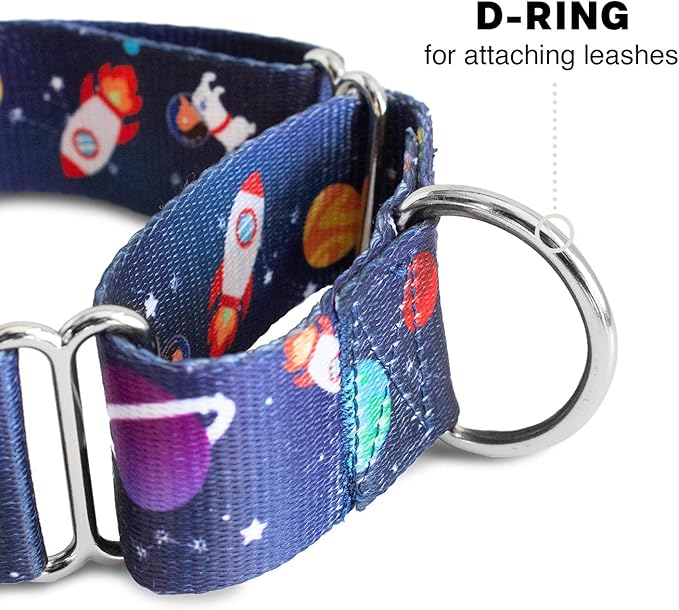 Downtown Pet Supply - Martingale Collar for Dogs - Dog Training Collar - Big, Wide & Thick Dog Collar - Escape-Proof, Weatherproof, Durable and Comfortable - Space - Small Dog Collar