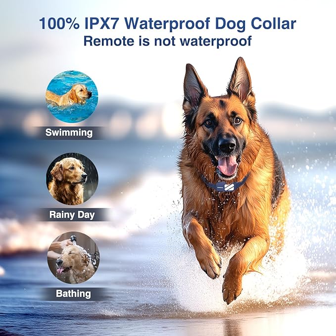 Dog Training Collar 2 Dogs (20-140 Lbs) - 4200FT Dog Training Collar with Remote, 4 Powerful Modes with 119 Training Levels Rechargeable Electric Dog Collar for Large Dogs