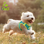 DOCO No Pull Dog Harness Medium Sized Dog| Adjustable Choke-Free Dog Vest with Breathable Air Mesh | Lightweight & Reflective for Training & Daily Walks – Turquoise Medium (Chest 16–17 in, 10–15 lbs)