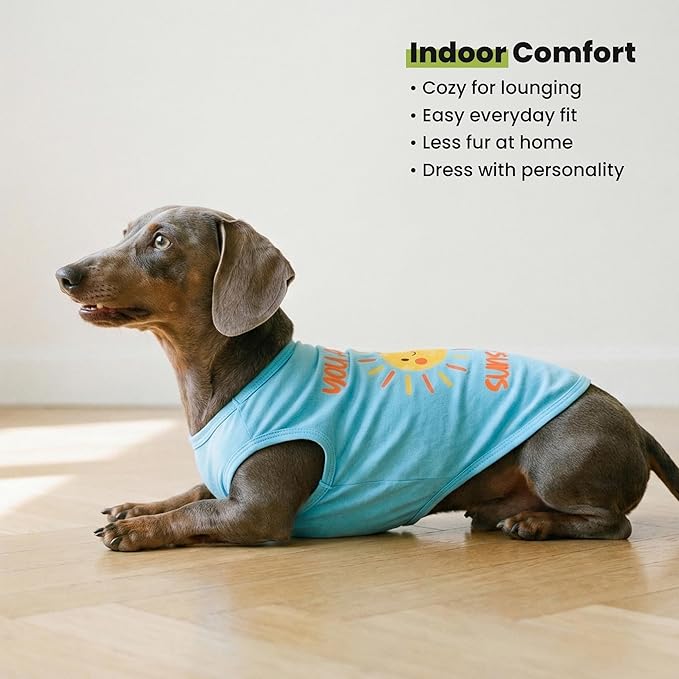Fitwarm You are My Sunshine Dog Shirt, Tropical Summer Clothes for Small Dogs Boy Girl, Funny Pet Outfit, Blue, Yellow, Large