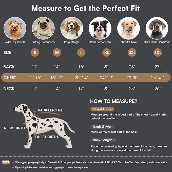 Queenmore Winter Dog Coat Warm Dog Jacket Vest Waterproof Puffer Fleece Snowsuit Adjustable Buckle Leash Hole Reflective Cold Weather Parka for Small Medium Large Dogs Girl Boy Orange M
