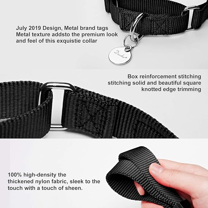 Martingale Dog Collar, Escape-Proof and No Slip Design, Heavy-Duty Nylon with Metal Buckle, Adjustable for Small, Medium & Large Dogs, Colorfast for Training, Daily Walks (Classic Black, M)