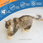 PETKARAY Cat Window Shelf, Original Cat Window Perch Stairs, Durable Kitty Seat for Window Sill, Sturdy Window Step for Indoor Cats