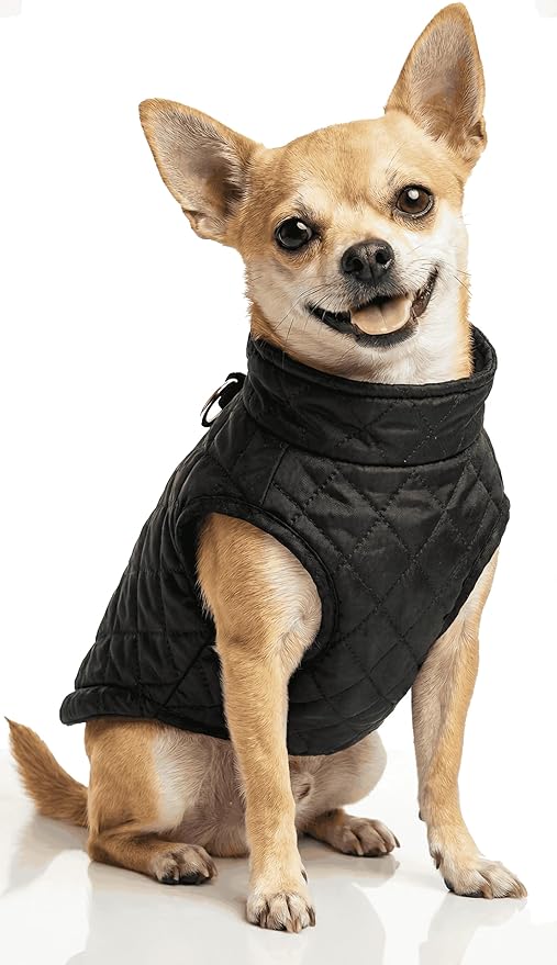 Small Dog Coats Winter Warm Dog Jackets Puppy Cold Weather Coat Pet Clothes for Small Dogs