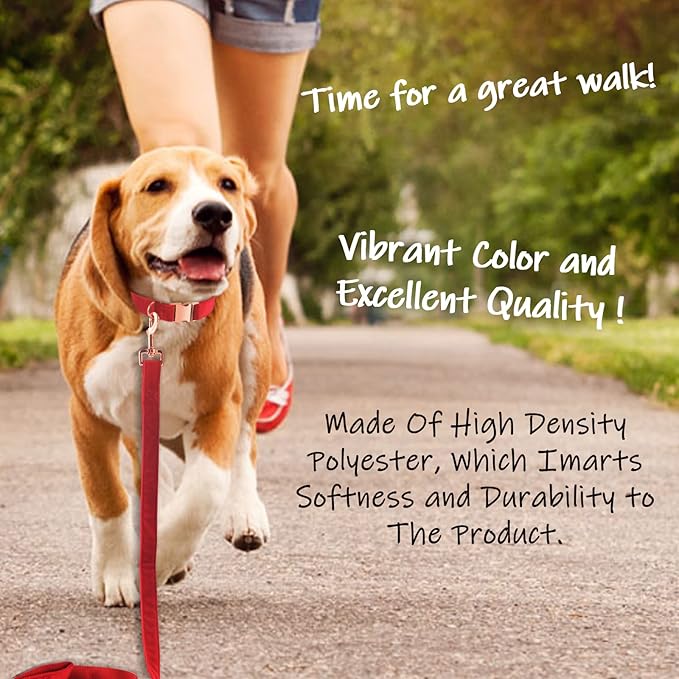 Bubblepup Velvet Dog Collar and Leash Set, Dog Collars for Small Medium Large Dogs Leash for Training & Walking