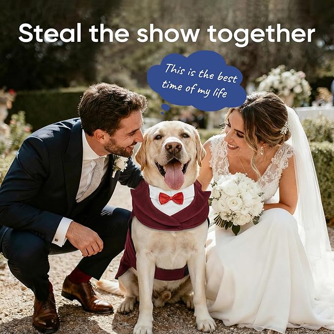 Supet Dog Tuxedo and Bandana Set with Bow Tie, Formal Outfit for Wedding Birthday Party Graduation Valentines, Pet Suit Clothes for Large Medium Small Dogs (Burgundy, 2XL)