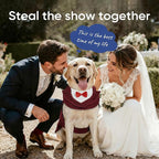 Supet Dog Tuxedo and Bandana Set with Bow Tie, Formal Outfit for Wedding Birthday Party Graduation Valentines, Pet Suit Clothes for Large Medium Small Dogs (Burgundy, L)